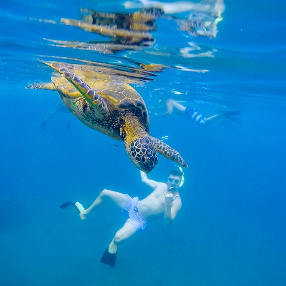 Meet your Posher, Shawn - Picture 1 of 1